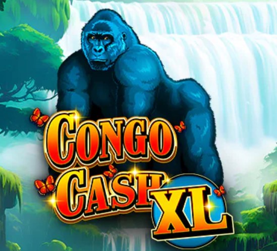 Congo Cash XL